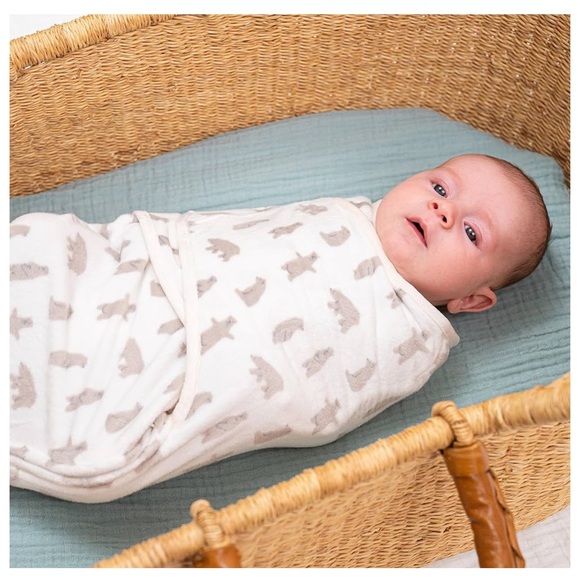 EUC aden + anais Velboa (minky plush) Essentials Easy Swaddle Wrap - Picture 5 of 9
